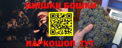 индика Партизанск